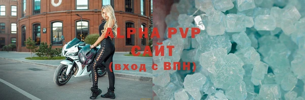 хмурый Пересвет